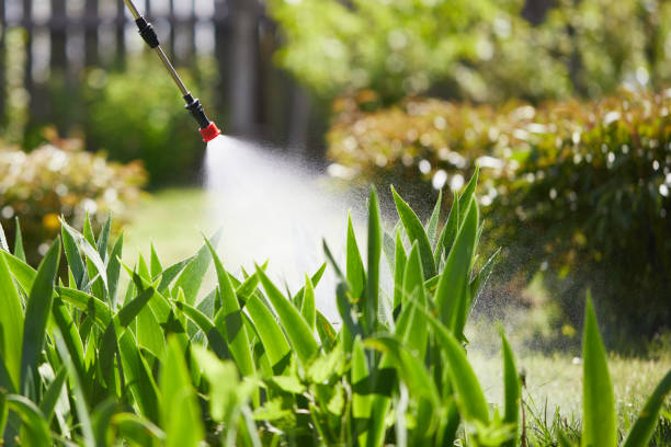Void Injection for Cockroach Colonies in Berkshire Lakes