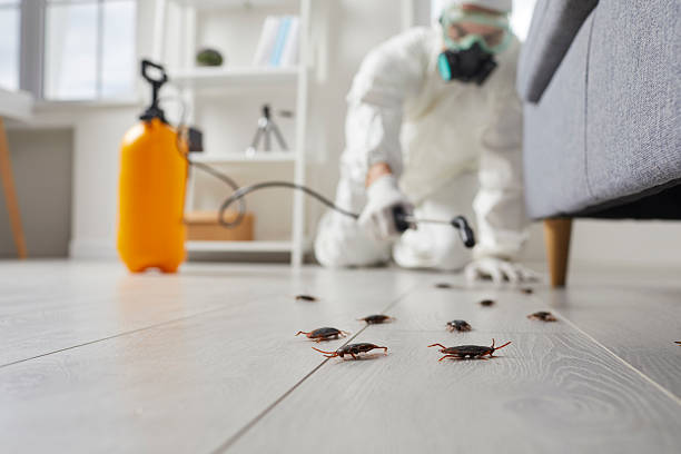 Commercial Kitchen Cockroach Control in Berkshire Lakes